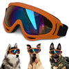 Rax Specs V2 Dog Goggles Dog Eyewear