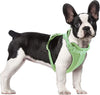 No Pull Lightweight Dog Harness: Adjustable Durable Breathable Mesh Pet Vest Harness with Soft & Comfortable Cushion, for Small Medium Large Dogs