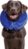 Cloud Collar - Plush, Inflatable E-Collar - For Injuries, Rashes and Post Surgery Recovery - For Extra Small Dogs/Cats