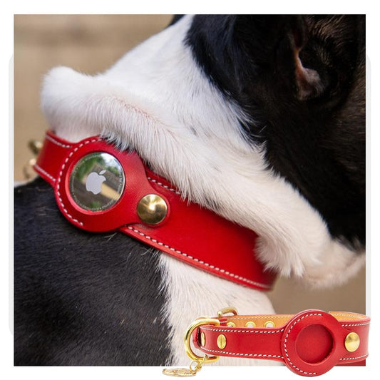 Anti-lost Airtags Collar for Dogs | Genuine Leather Pet Collar | Apple Airtags Holder | Adjustable Necklace for Puppy & Medium Dogs
