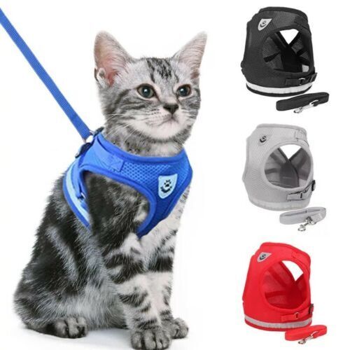 Adjustable Control Vest Pet Harness & Leash - Reflective and Breathable for Cats and Dogs